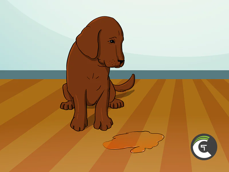 Custom Illustration project image 6