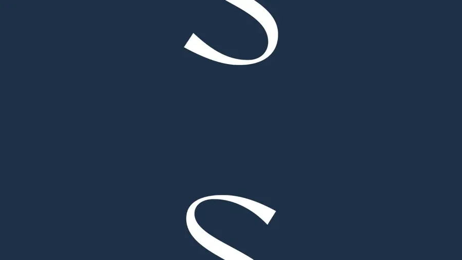 Sabdita Fashion S logo animation
