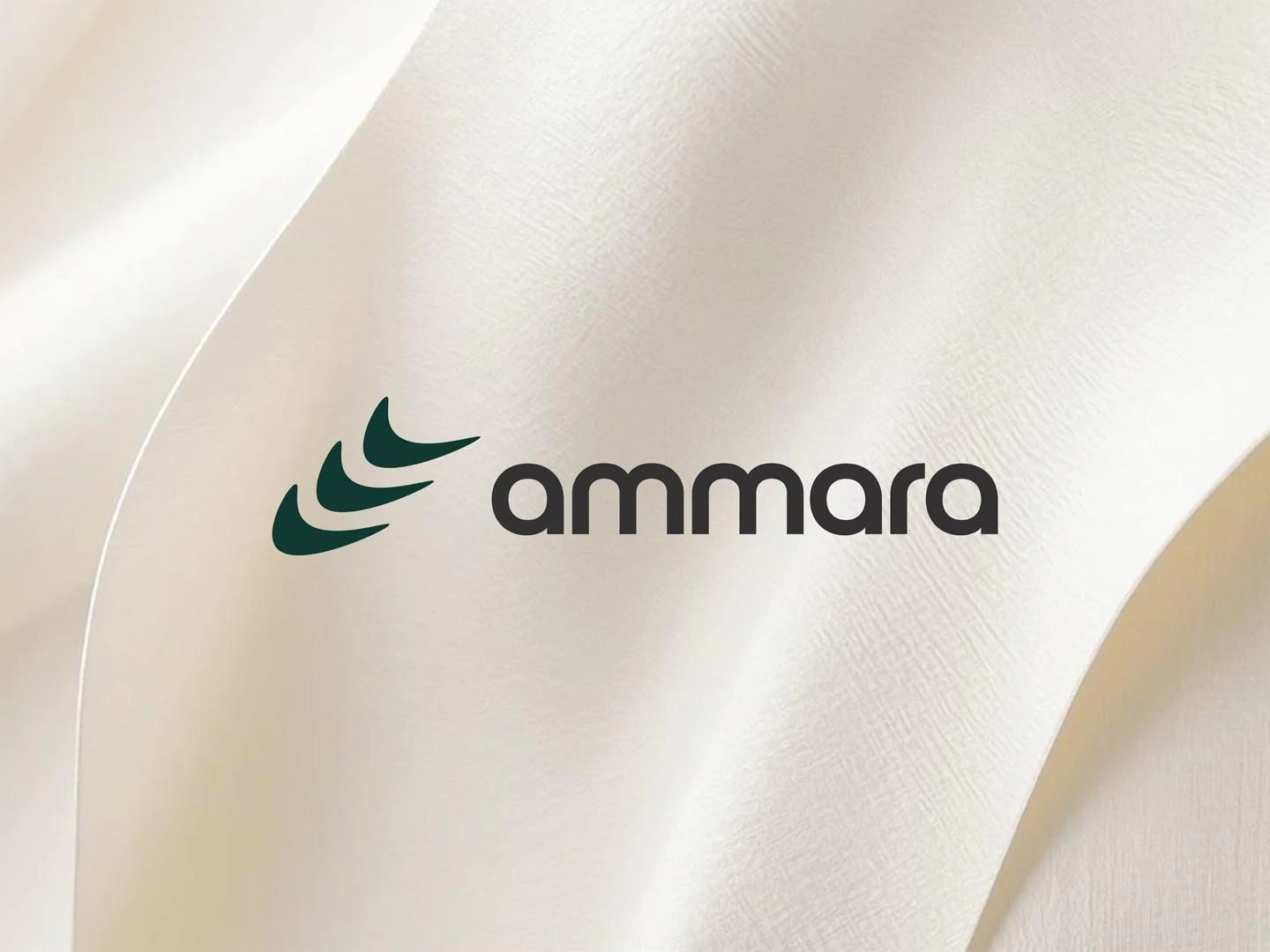 Ammara project image 1