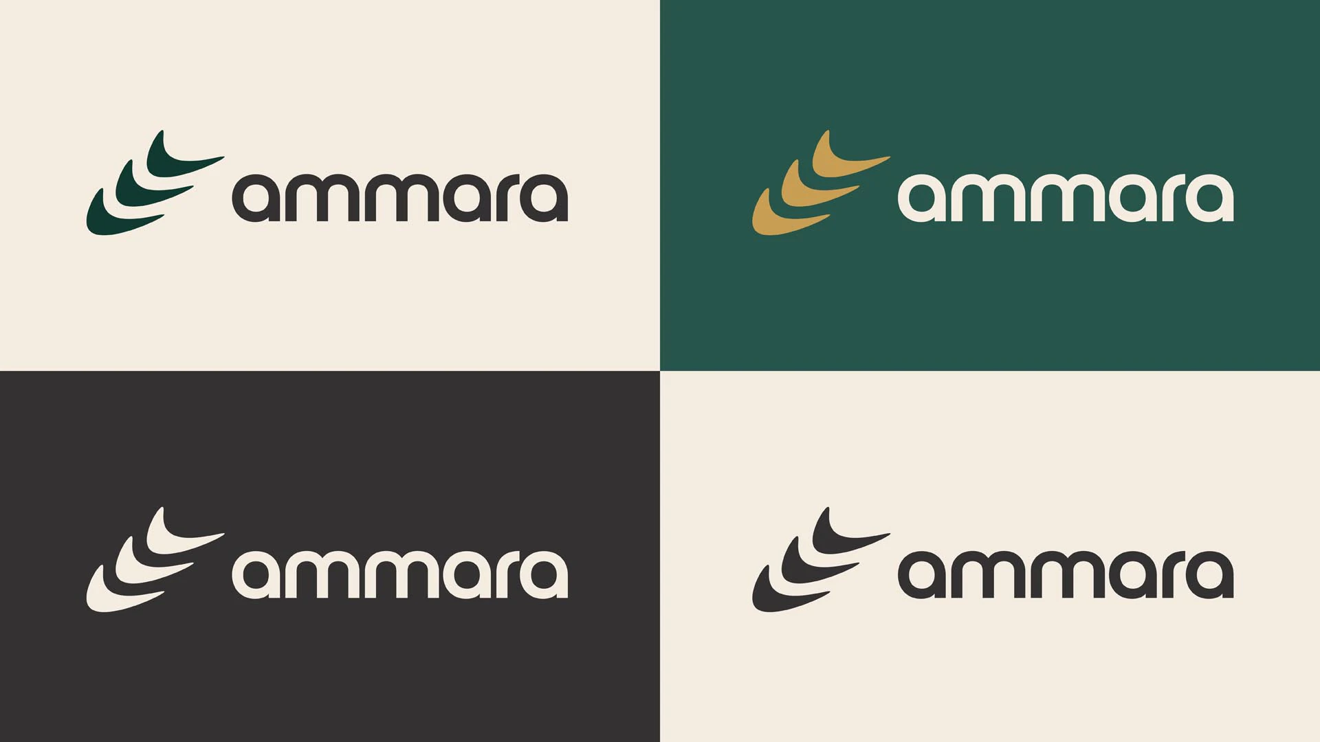 Ammara project image 6