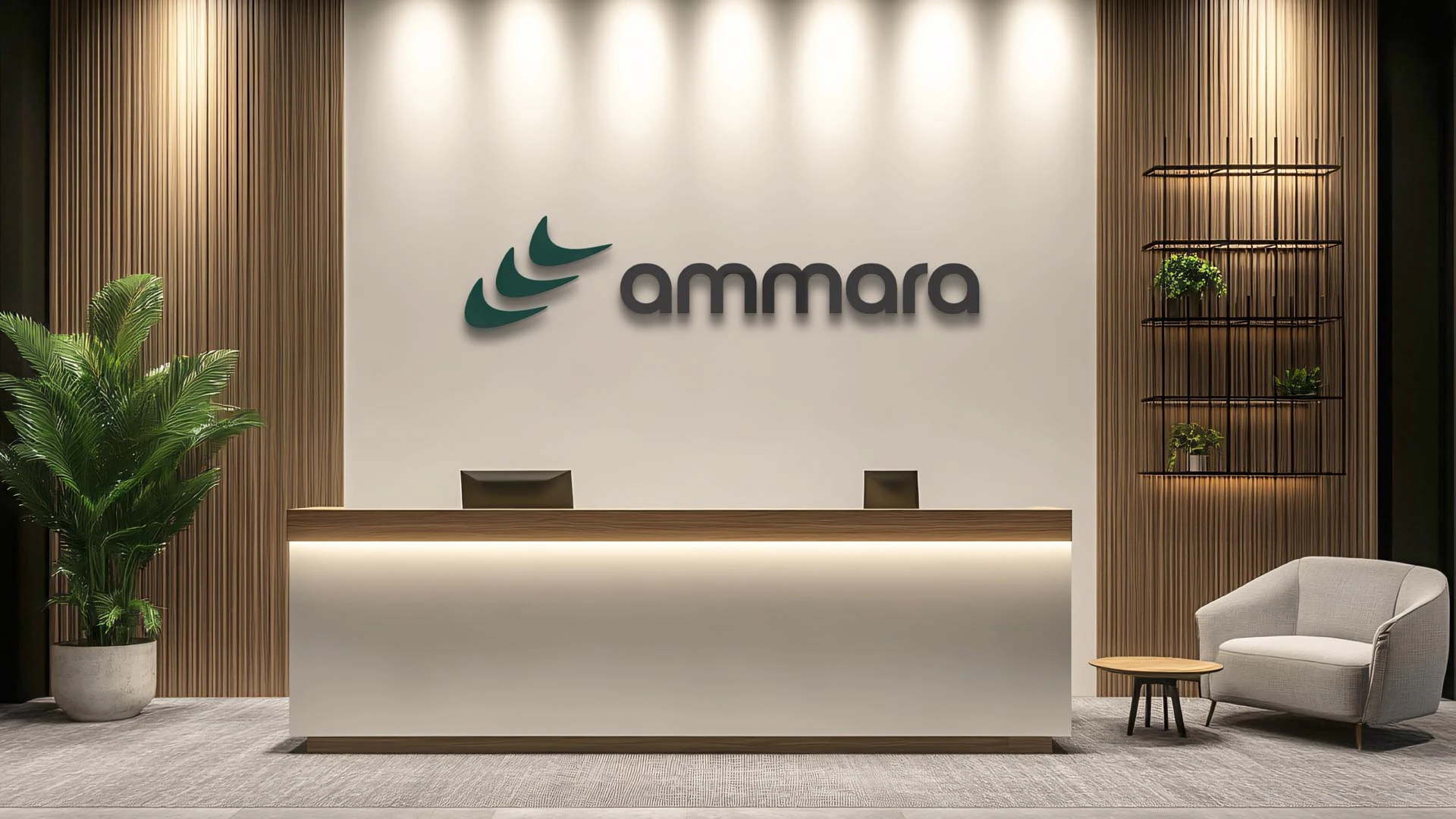 Ammara project image 14