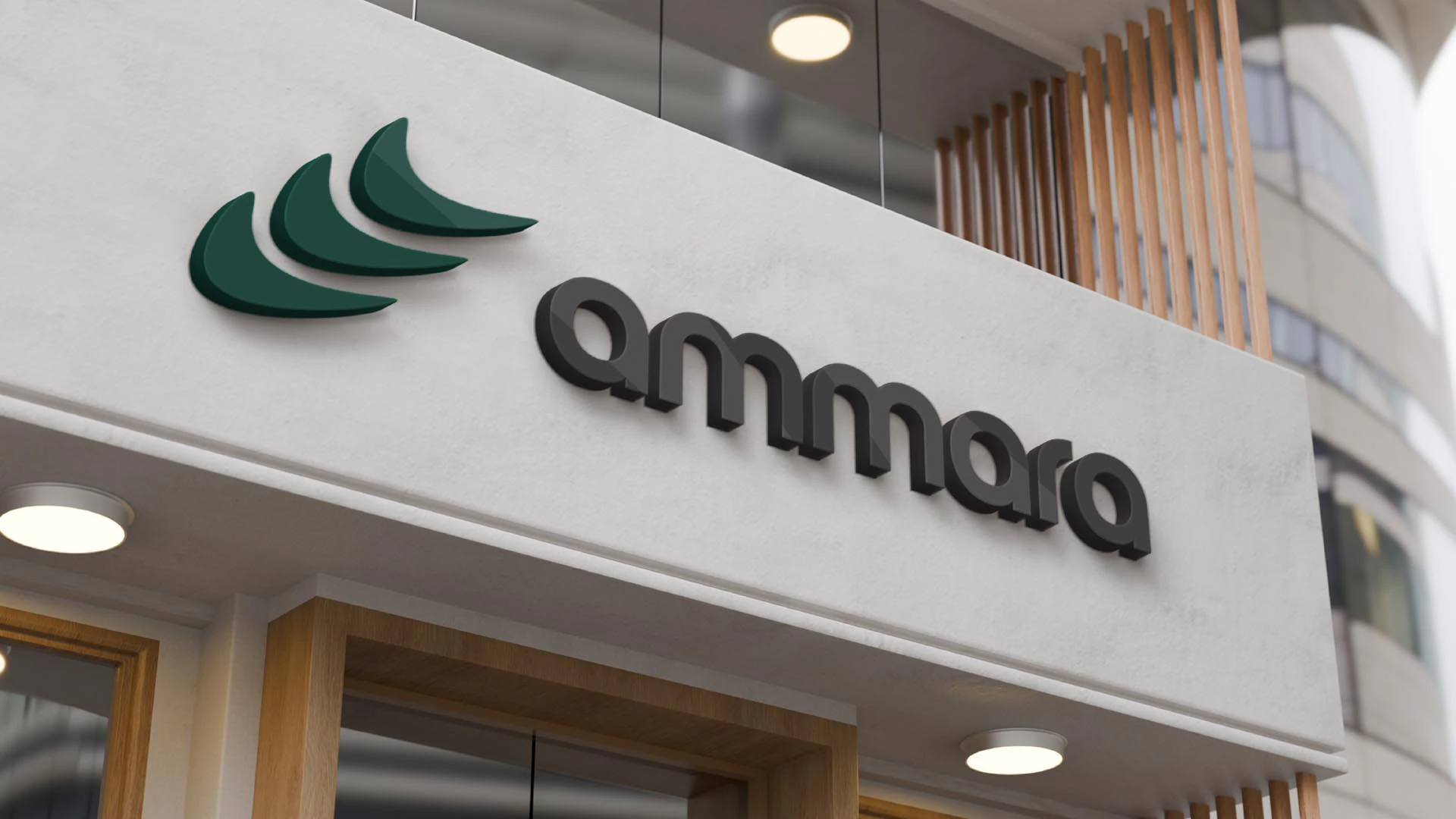 Ammara project image 16