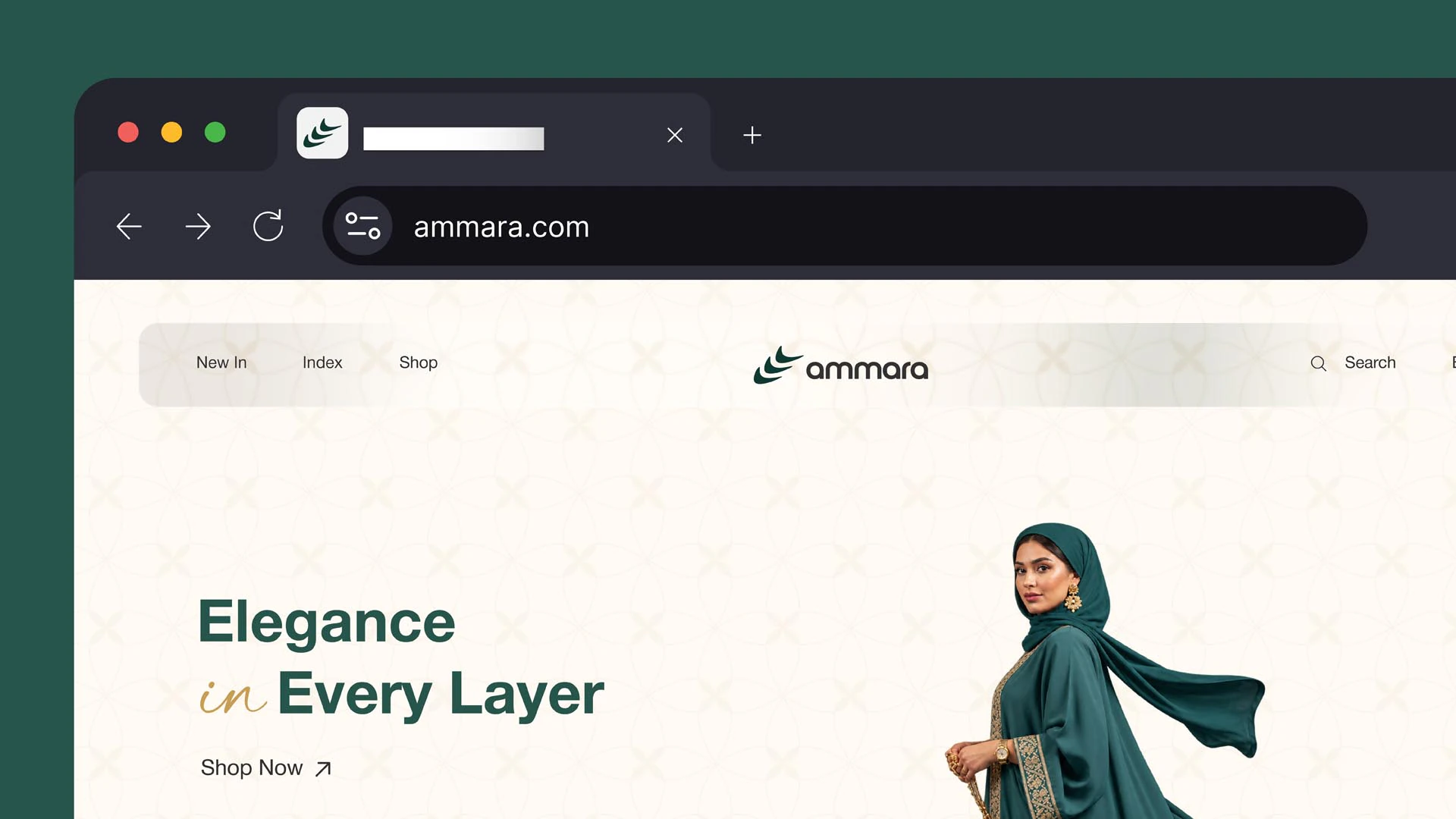 Ammara project image 20
