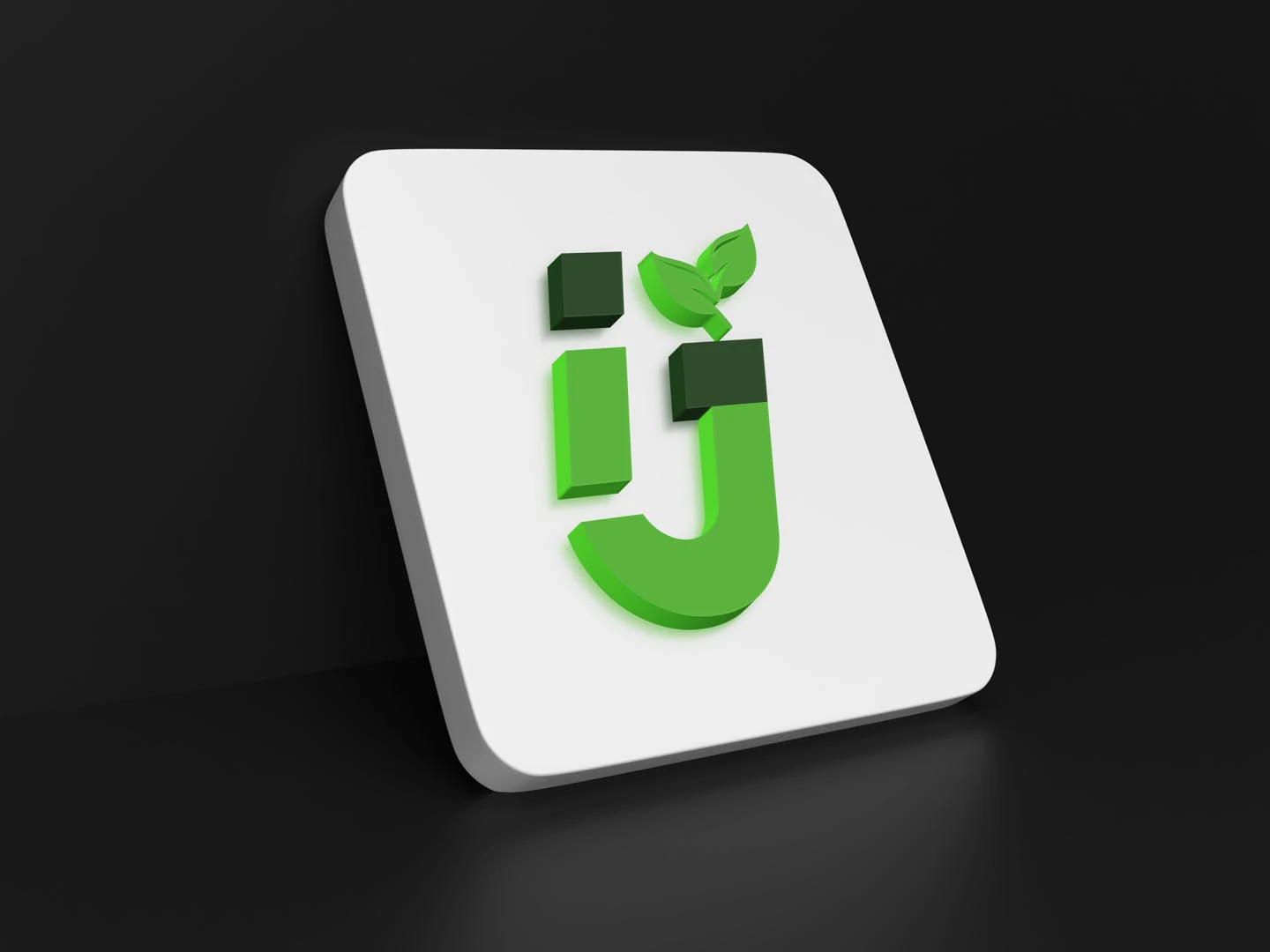 Imperial Jute project image 11