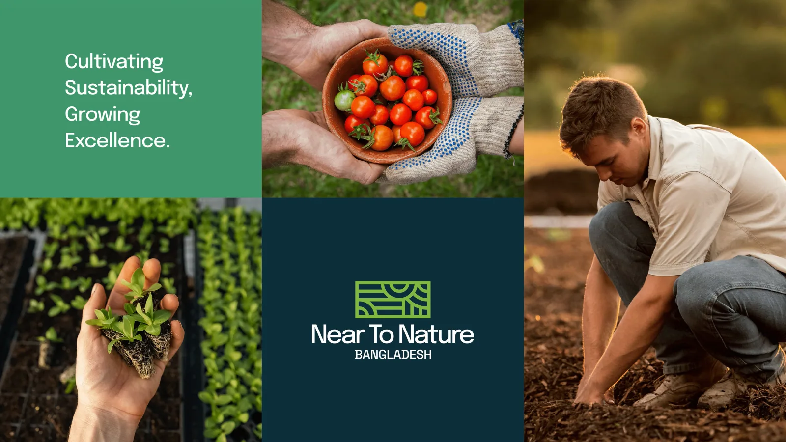 NTNB Agro project image 6